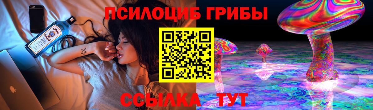 Псилоцибиновые грибы мухоморы  Вход с VPN  Псилоцибиновые грибы Magic Shrooms  Сокол 
