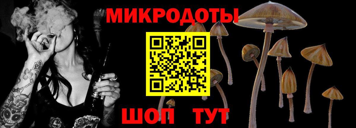 Галлюциногенные грибы Psilocybine cubensis Сокол